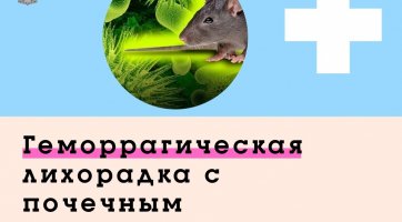 Облкомобразования о профилактике геморрагической лихорадки